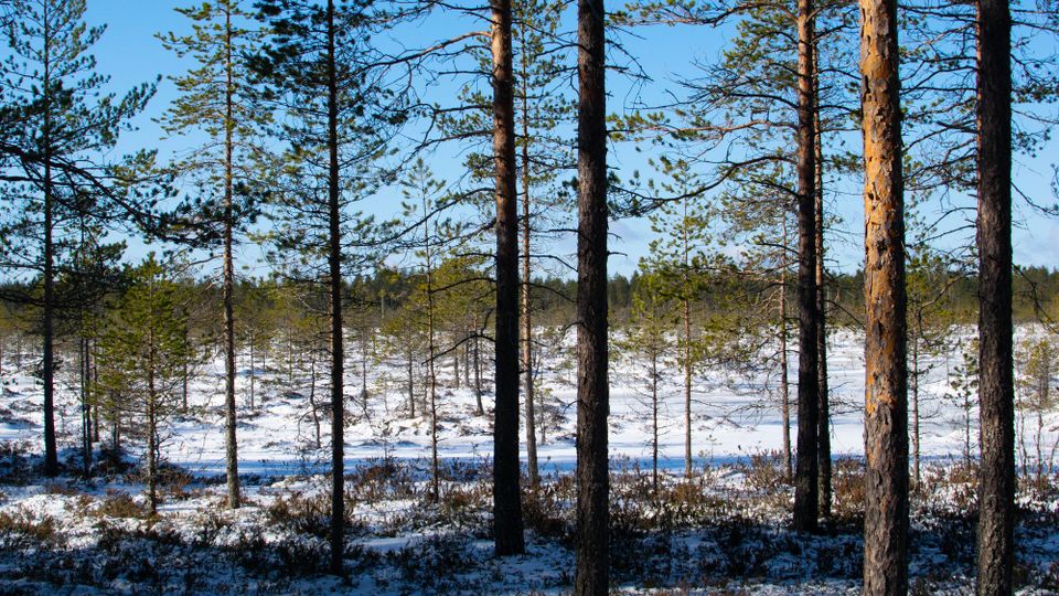 Näin löydät uudet ulkoilumaastot läheltäsi