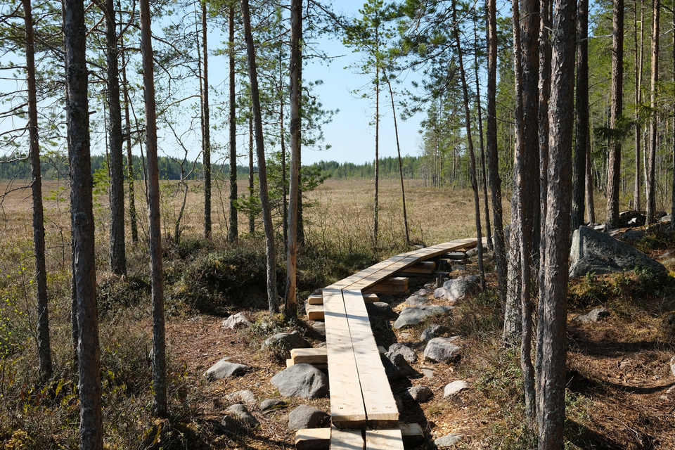 Päiväretki: Pilpasuon luontopolku