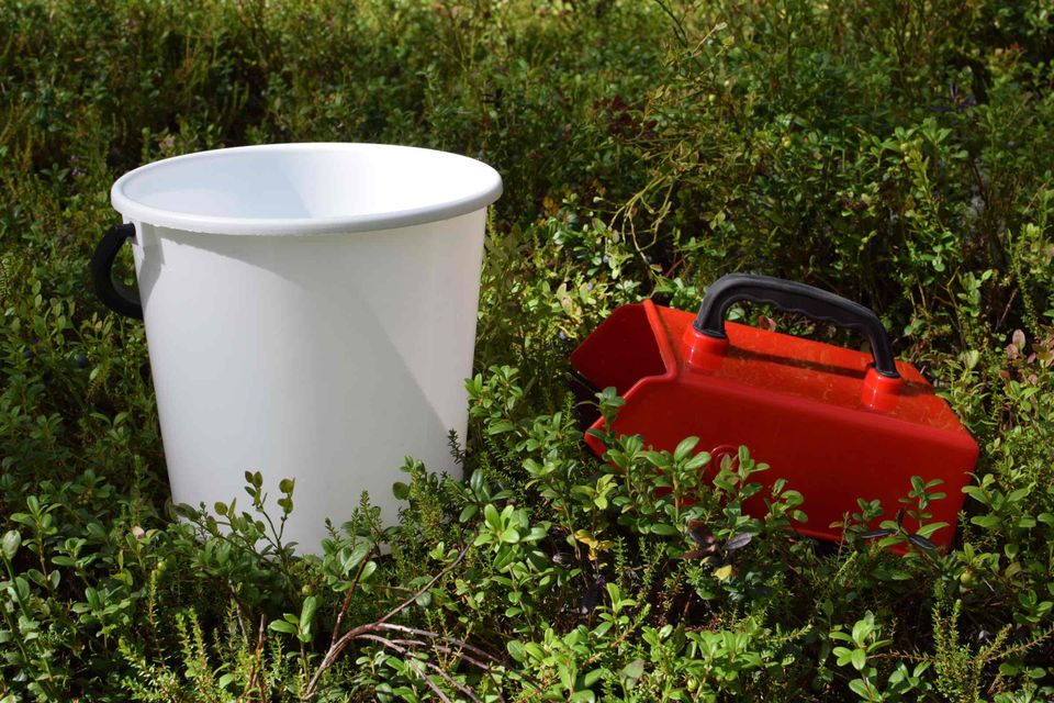 Löydä parhaimmat marjapaikat Karttaselaimen avulla