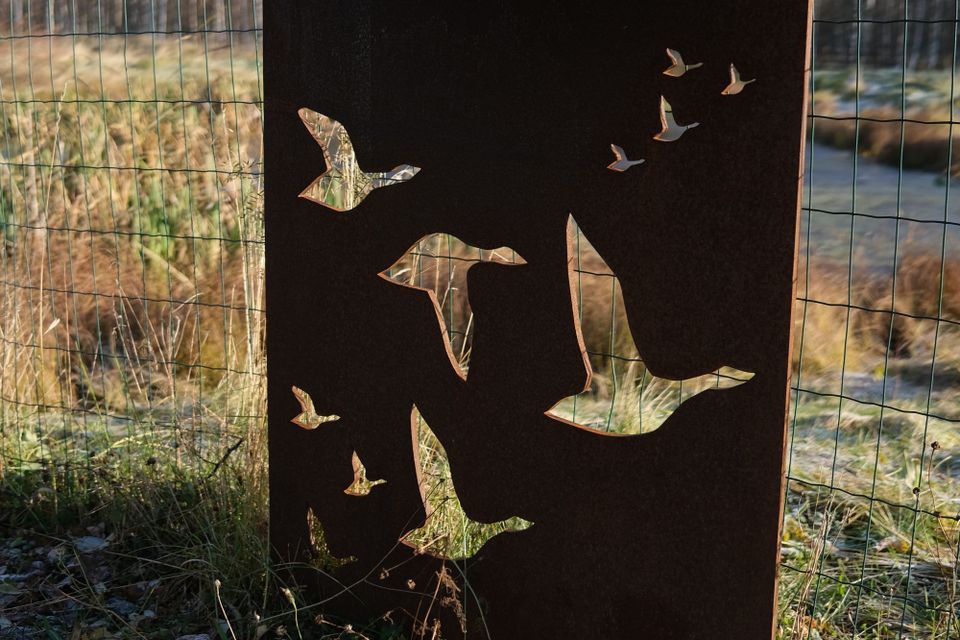 Päiväretki: Liminganlahden luontokeskus