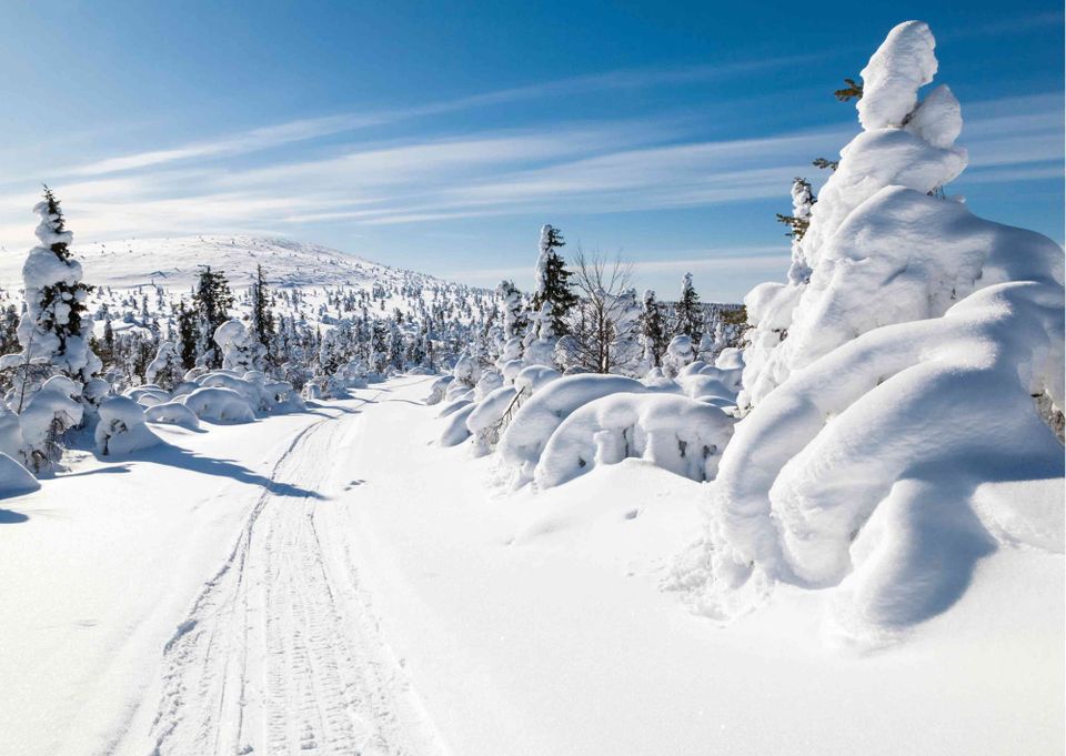 Karttaselaimen toimintojen käyttö talviharrastuksissa