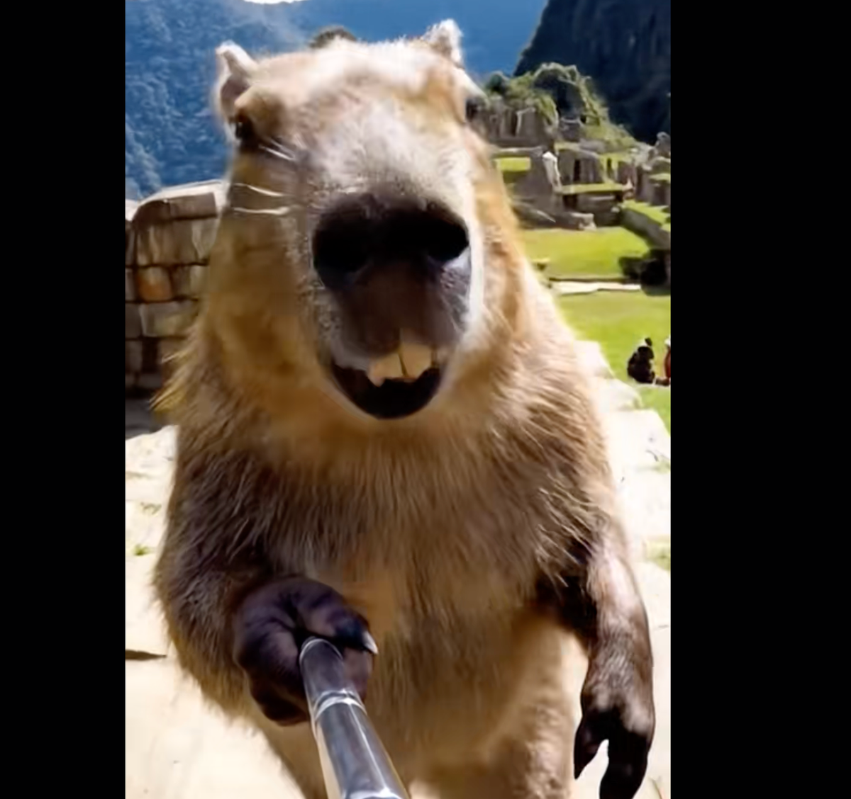 Travel video just changed and so did who gets to star in it