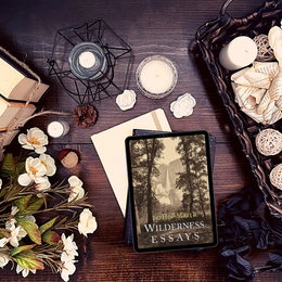 The Best John Muir Book For Every Nature Enthusiast