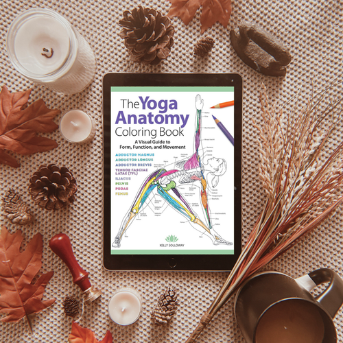 Discover the Transformative Power of the Best Anatomy Coloring Book Now!