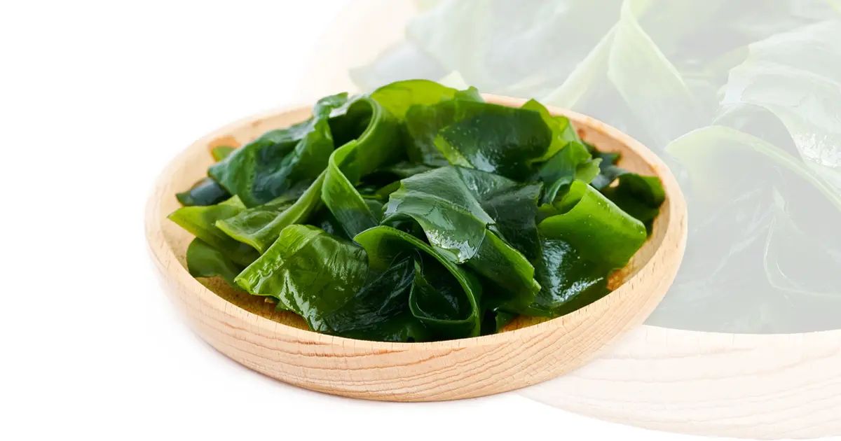 Les algues sont le prochain superaliment à la mode