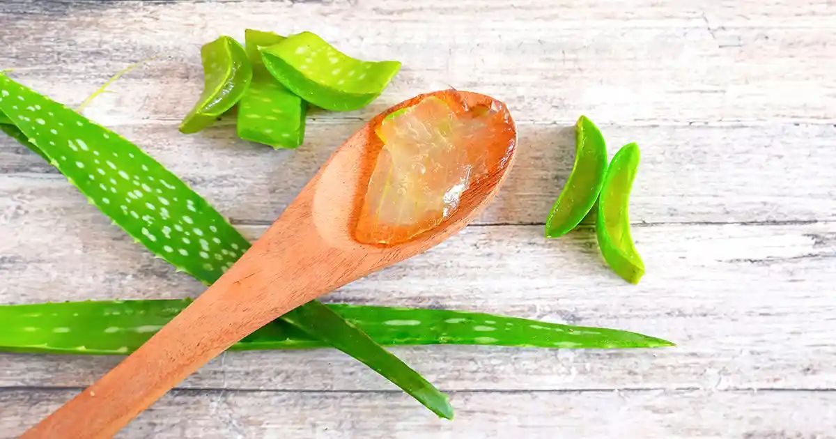 Quels sont les bienfaits de l’aloe vera ?