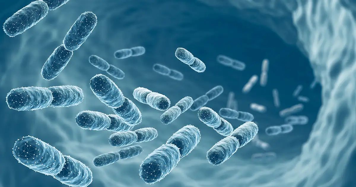 Comment aider votre corps à se débarrasser des toxines nocives