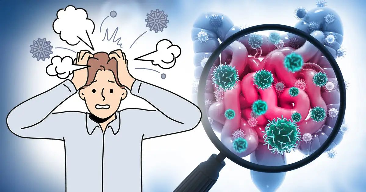 Votre manière de réagir au stress commence peut-être dans votre intestin