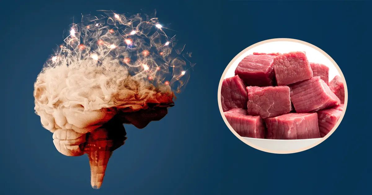 Ce type de viande pourrait favoriser le développement de la maladie d’Alzheimer