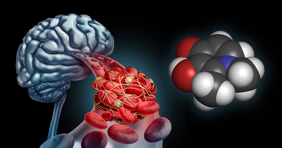 Un excès de ce nutriment pourrait-il favoriser Alzheimer ?