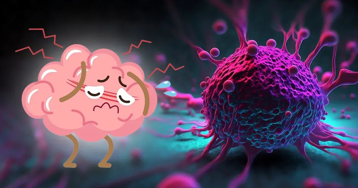 Cancer, hormones, cerveau : les effets cachés de ce produit d’apparence inoffensive