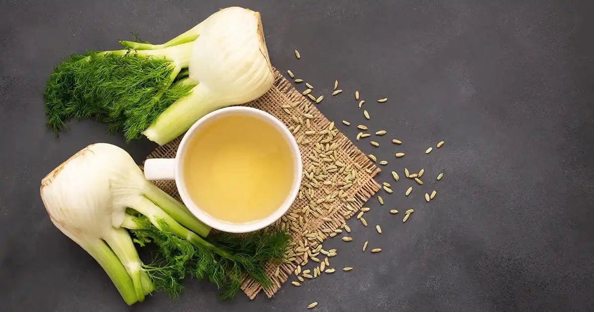 Les nombreux bienfaits du fenouil pour la santé