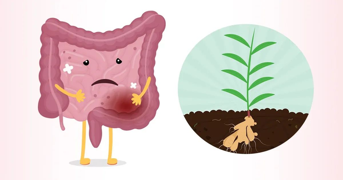Douleurs abdominales, crises imprévisibles : un produit conçu pour vous défendre