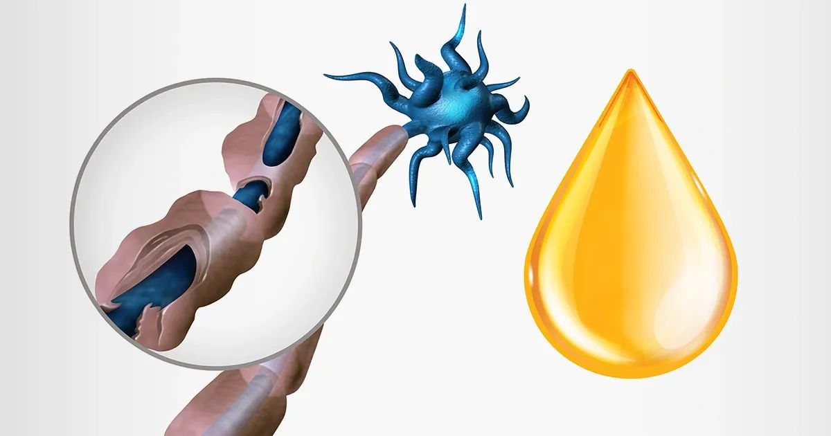 La vitamine qui protège les nerfs bien avant l’arrivée des symptômes visibles