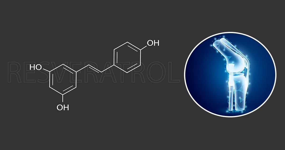 Un simple nutriment pourrait protéger vos os mieux que les traitements classiques