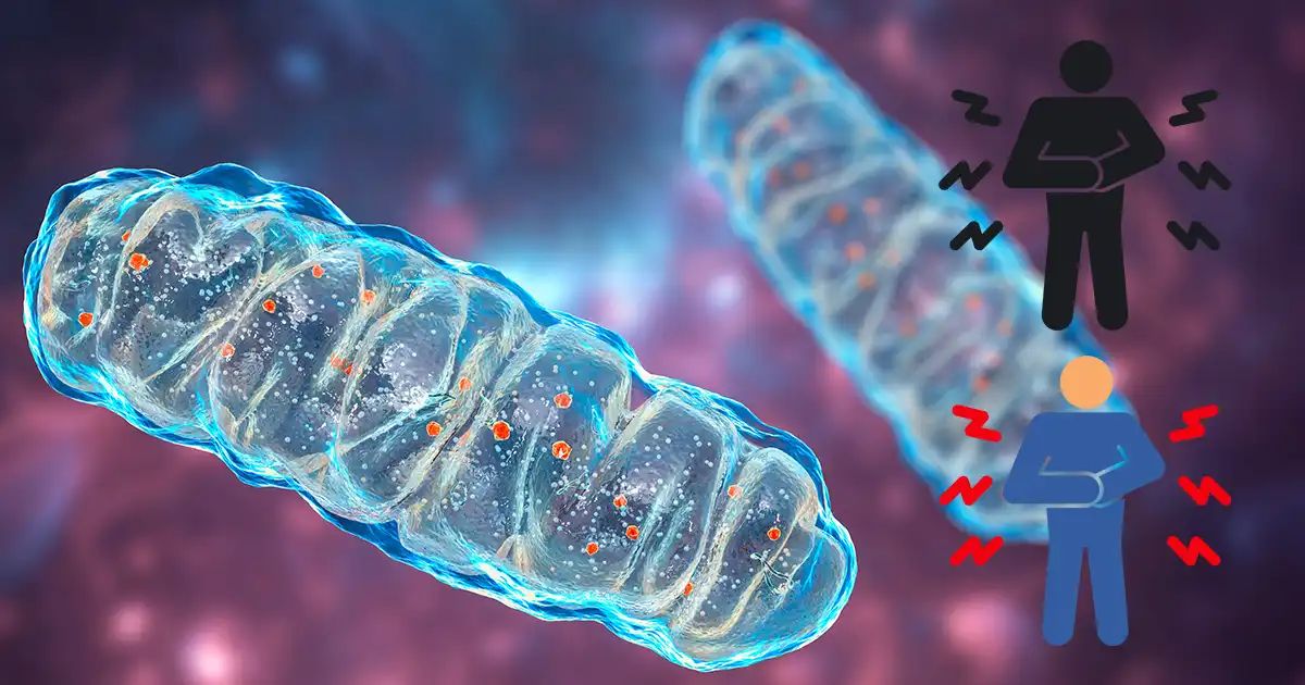 Vous ignorez leur rôle, mais ces cellules protègent votre corps chaque jour