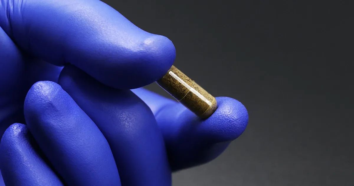 Restaurer l'écosystème intestinal : le pouvoir de la transplantation de microbiote