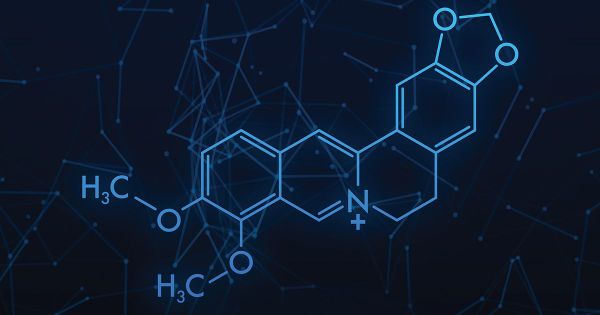 S'agit-il d'une option naturelle pour remplacer les injections nocives pour maigrir ?