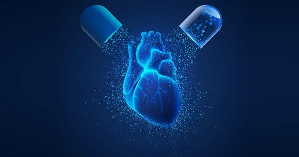 La vitamine K2 est importante pour la santé vasculaire