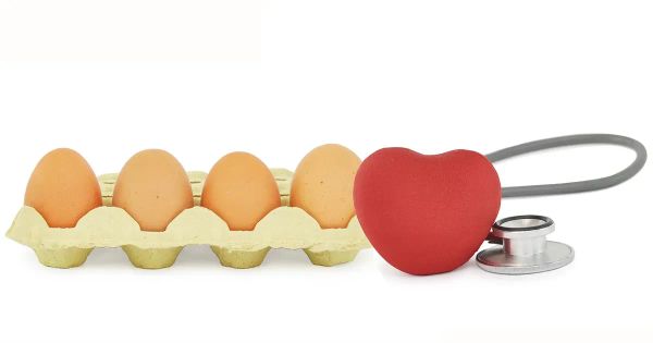 La choline contenue dans les œufs réduit l'inflammation