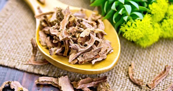 Les principaux bienfaits de la rhodiola