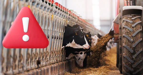 Un breuvage forcé, un effet dévastateur ? La réalité dépasse l’entendement