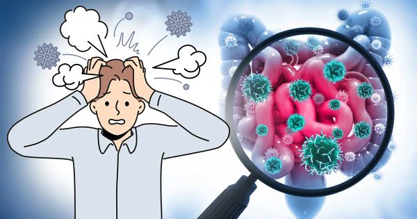 Votre manière de réagir au stress commence peut-être dans votre intestin