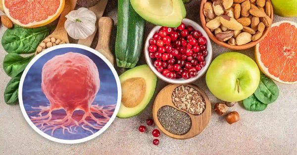 Les fibres alimentaires : une arme discrète contre le cancer