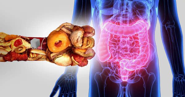 Êtes-vous en train de nourrir votre pire ennemi sans le savoir ?