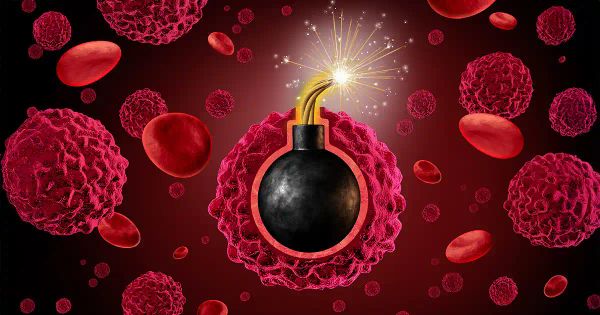 Votre cuisine abrite-t-elle un cancérogène quotidien ?