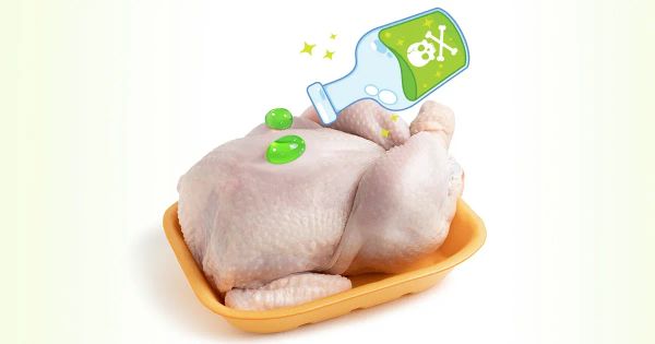Ce que cache votre poulet : un mélange toxique à chaque bouchée