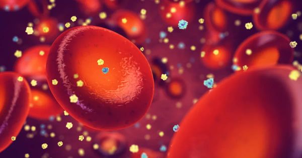 Un défaut d’énergie dans vos cellules déclenche la maladie