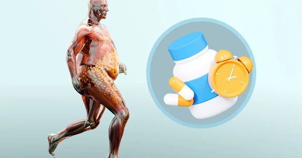 Comment votre corps préserve sa masse musculaire sans bouger