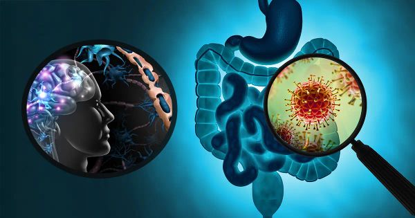 Un intestin équilibré pourrait-il ralentir la progression d’une maladie chronique ?