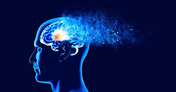 Alzheimer : une épice oubliée défie les traitements conventionnels