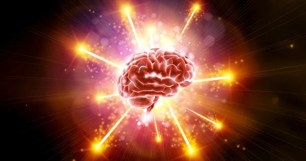 Votre cerveau décline peut-être à cause d’une vitamine que vous croyez avoir en quantité suffisante