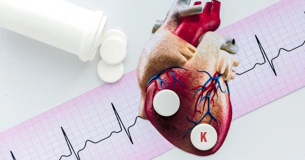 Un rapport déséquilibré dans votre assiette peut faire exploser votre tension