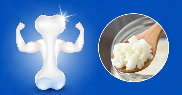 Un ferment naturel qui aide à lutter contre la perte osseuse dès les premiers signes
