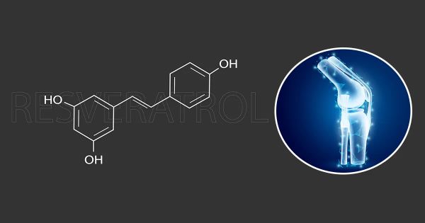 Un simple nutriment pourrait protéger vos os mieux que les traitements classiques