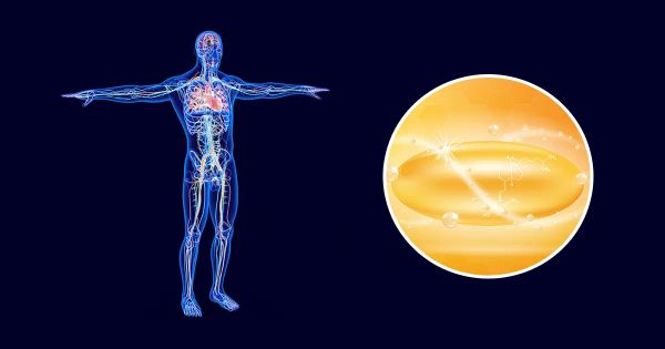 Fatigue, mauvaise circulation, baisse d’énergie : le signe d’une carence qui vous expose à des risques graves
