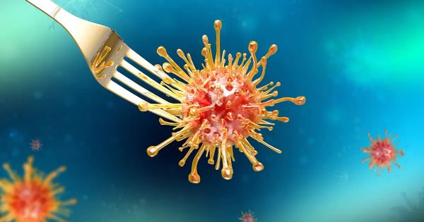 Ce poison invisible présent dans vos aliments serait la cause principale des maladies modernes