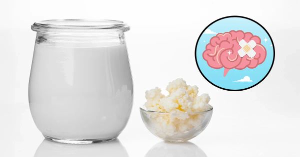 Une solution oubliée refait surface dans la prévention d’Alzheimer