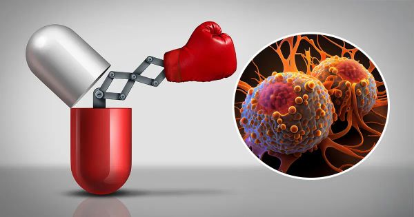 Cancer, énergie, immunité… une vitamine refait surface comme solution naturelle