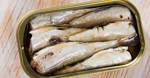 Ce que vous mettez dans votre assiette pourrait freiner le vieillissement et prévenir des maladies silencieuses