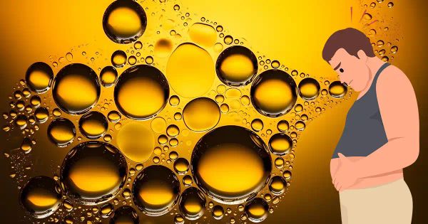 Même les aliments dits sains nourrissent une toxine qui mine votre énergie