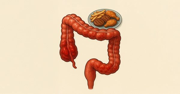 Ce régime « tendance » qui soi‑disant aide pourrait en réalité enflammer votre côlon