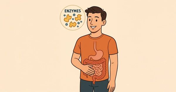 Quand votre corps coince, ce n’est pas toujours le manque d’aliments mais celui d’un catalyseur indispensable