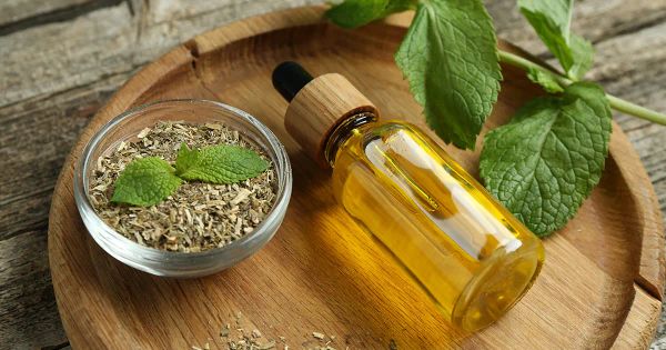 L’huile qui fait trembler les bactéries les plus tenaces