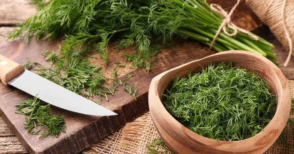 Cette herbe savoureuse soulage les crampes musculaires, apaise votre intestin et protège votre cœur en même temps
