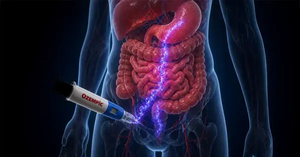 La connexion butyrate-GLP-1 : libérer la satiété, l'énergie et le contrôle de l'inflammation